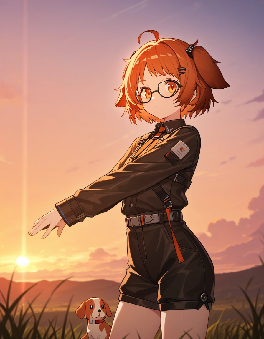 Beagle