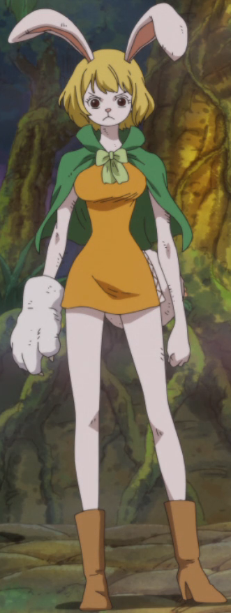 Carrot - Full Body