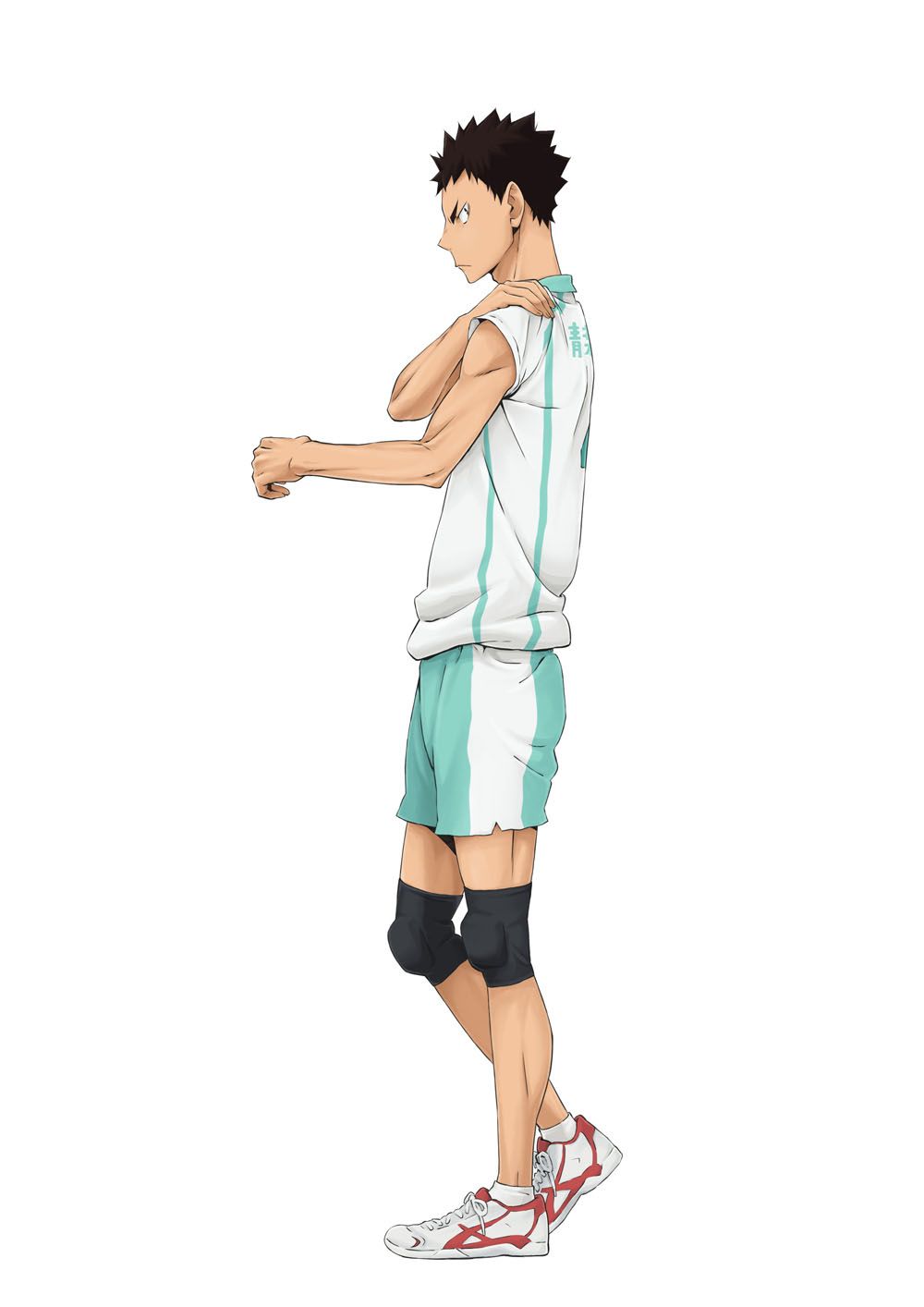 Iwaizumi Hajime - Full Body