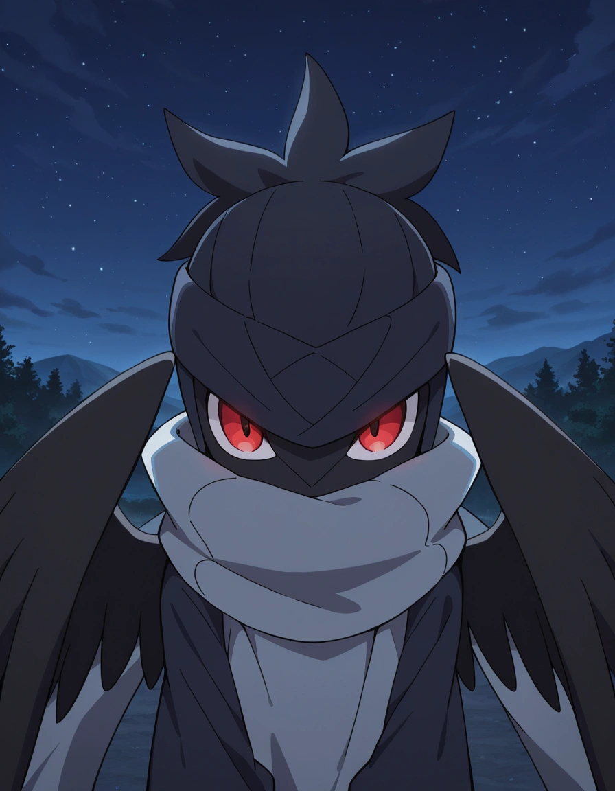 Ninjask
