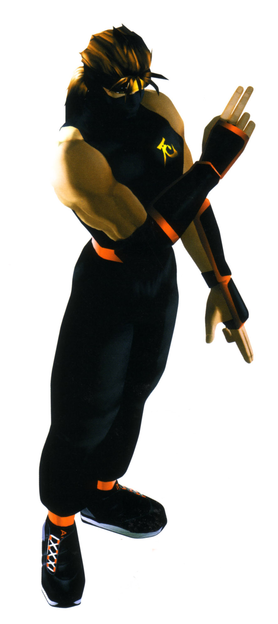 Hayabusa Ryu - Full Body