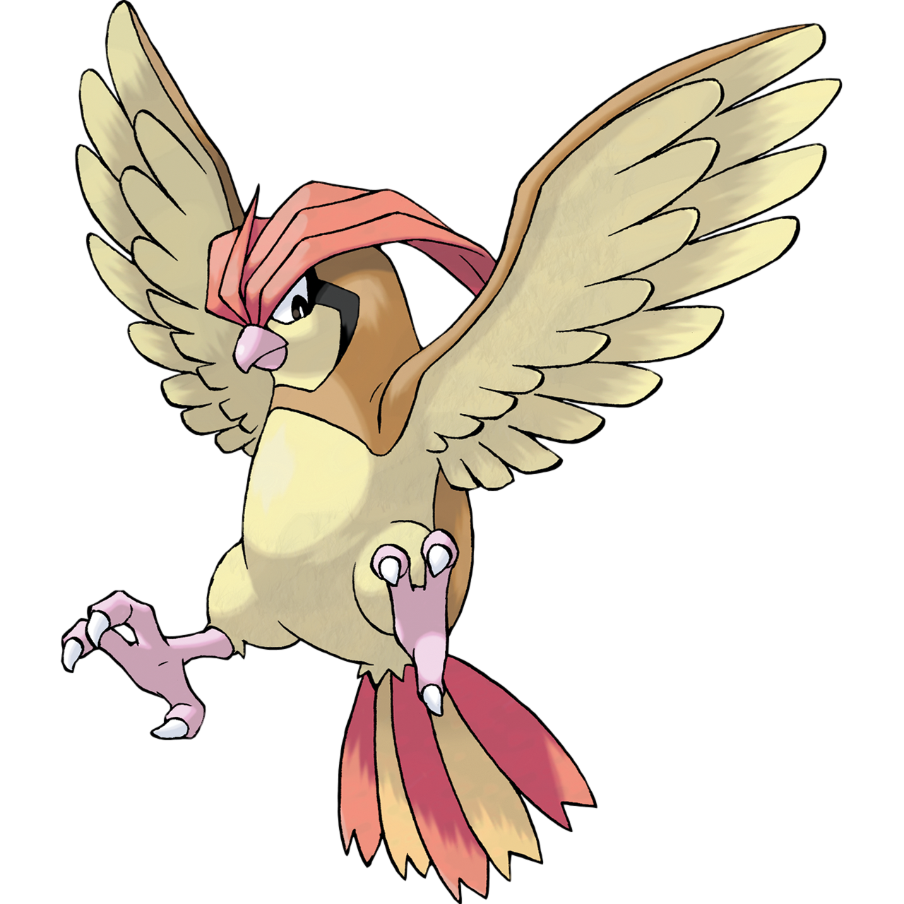 Pidgeotto - Full Body