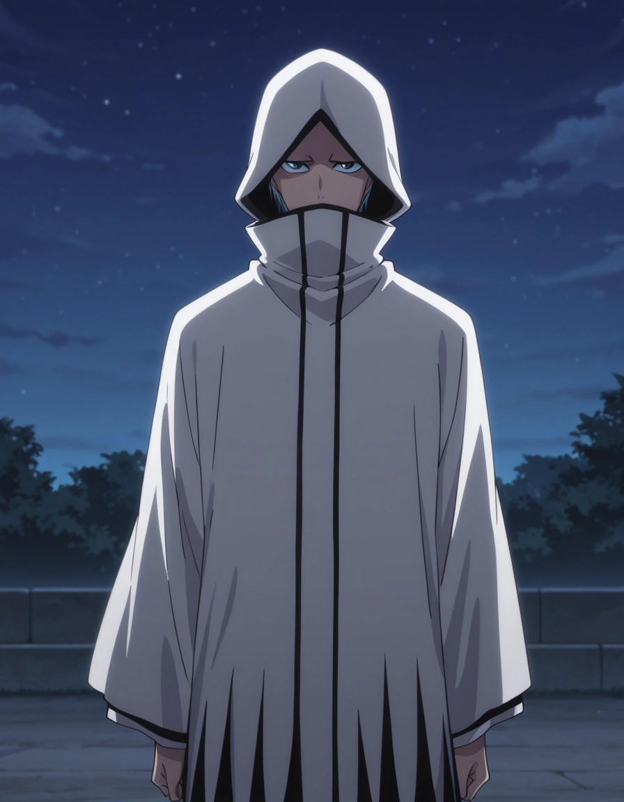 Kaname Tosen