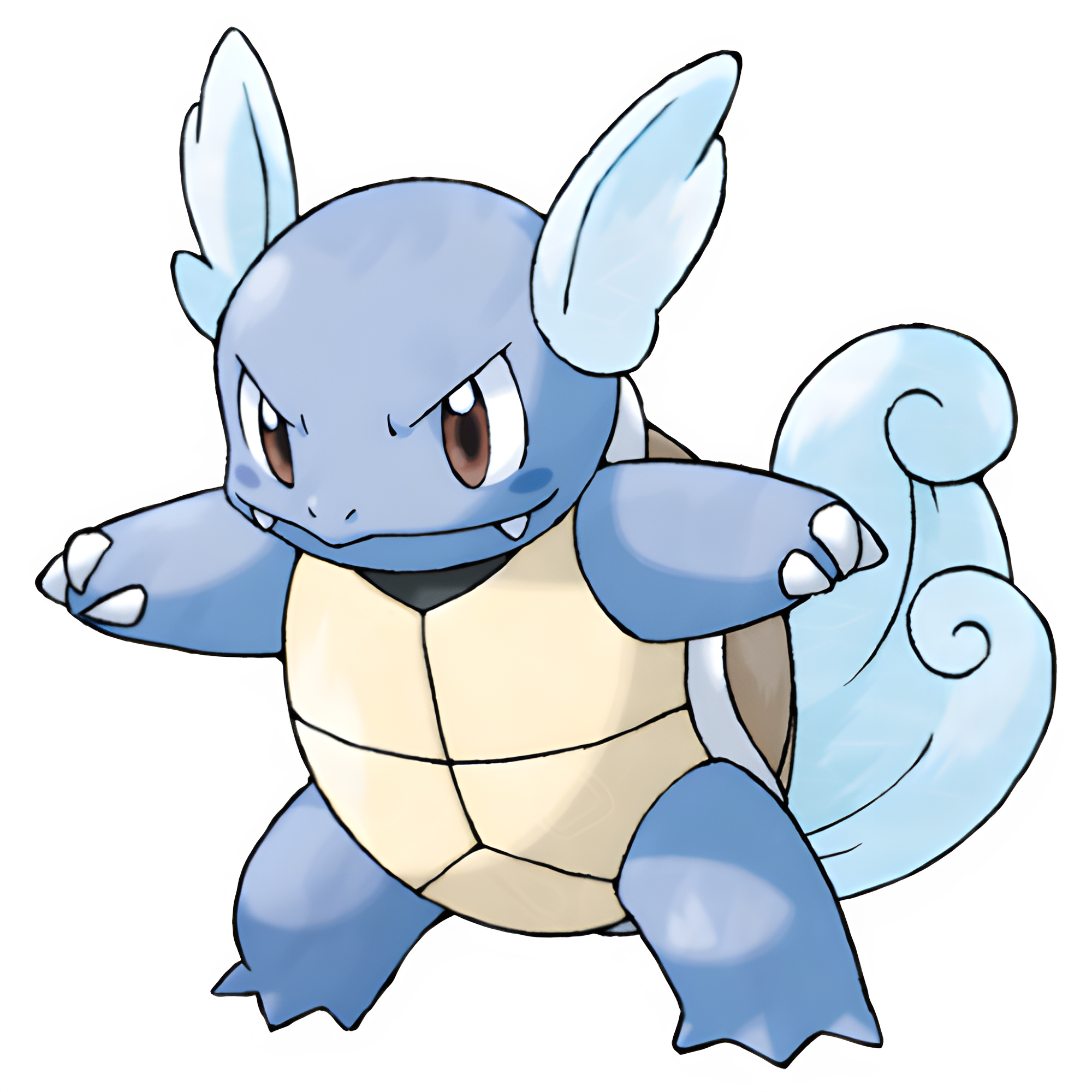Wartortle - Full Body