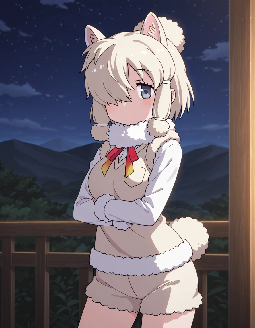 Alpaca Suri