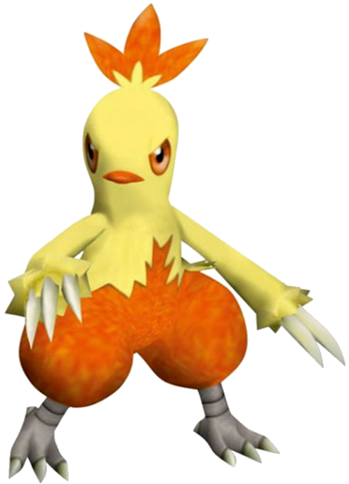 Combusken - Full Body