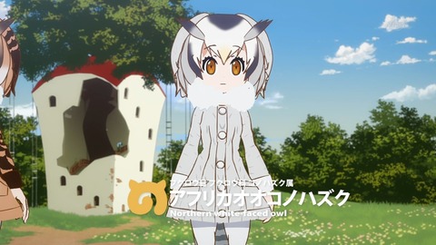 Northern White-faced Owl - Full Body