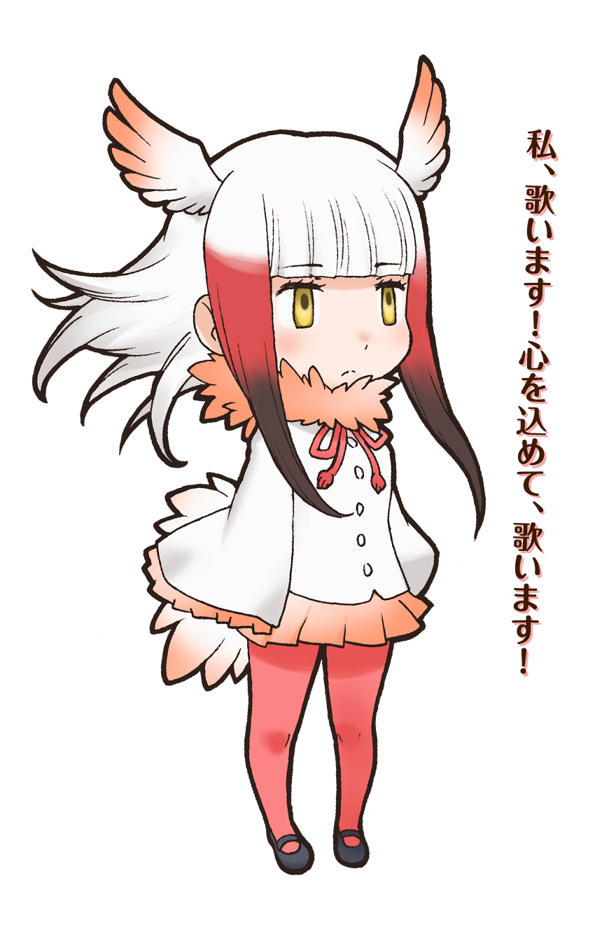 Japanese Crested Ibis - Full Body