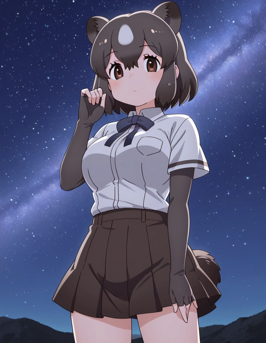 Brown Bear