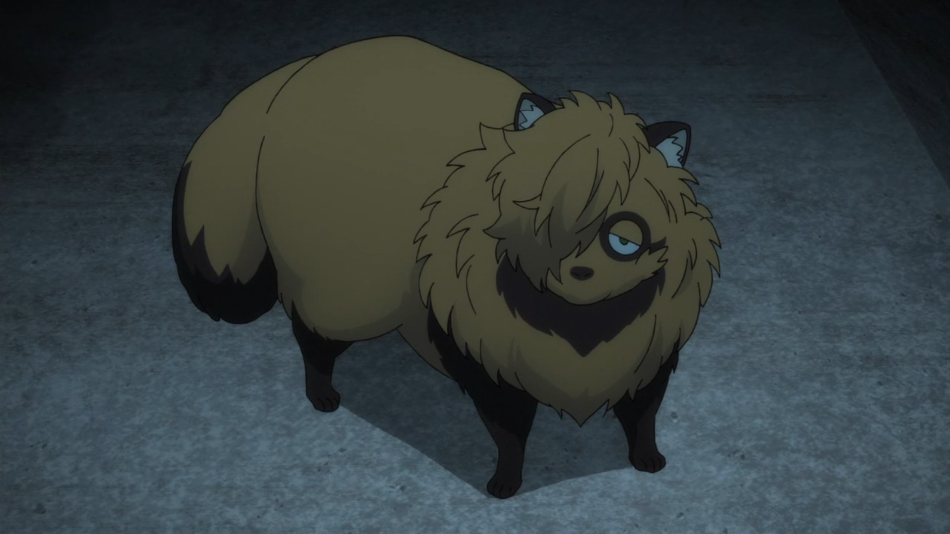 Tanuki - Full Body