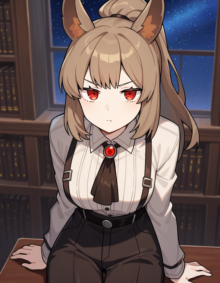 Librarian