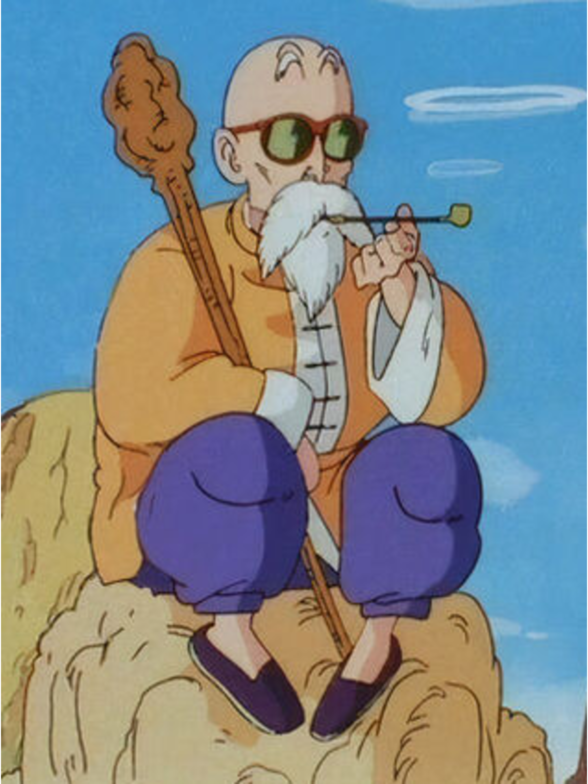 Master roshi