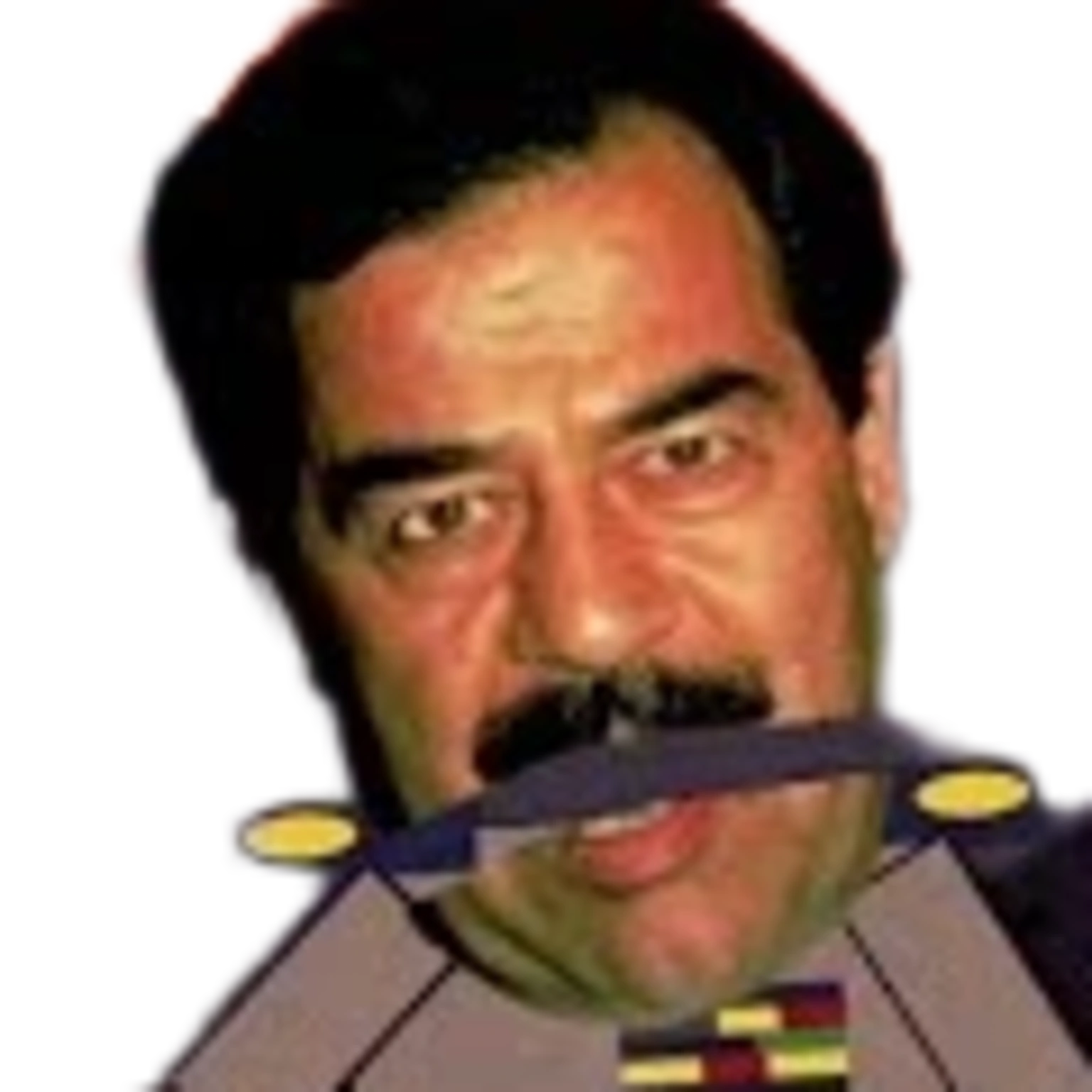 Saddam - Expression 3
