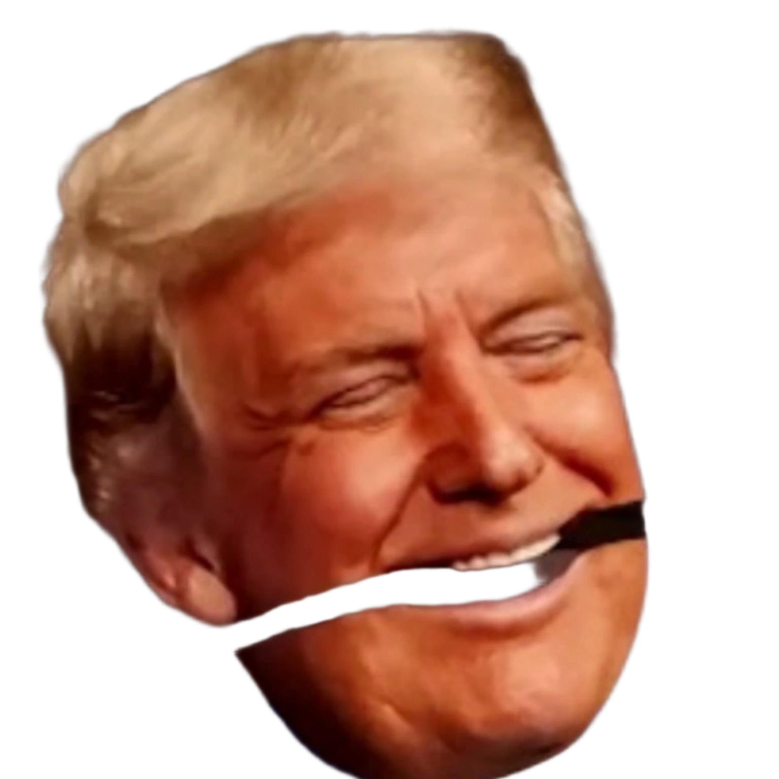 Trump - Expression 1