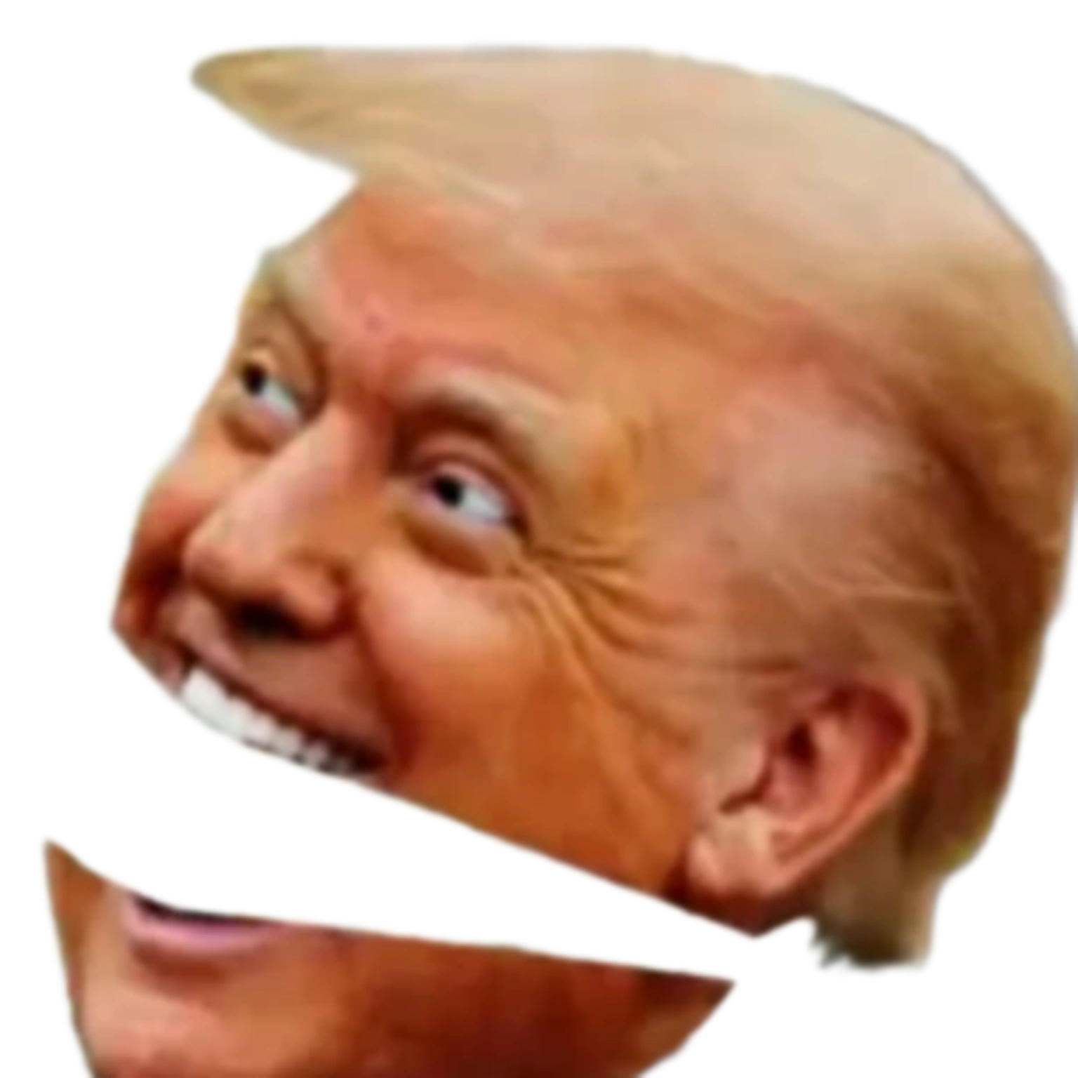 Trump - Expression 2
