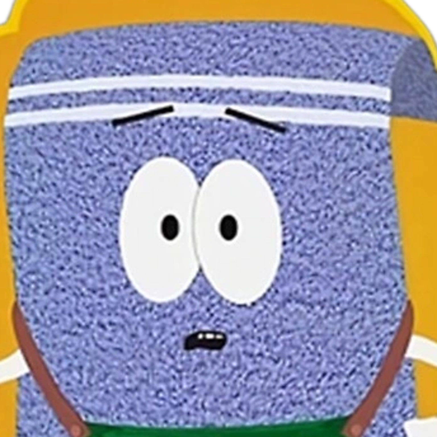 Towelie - Expression 3