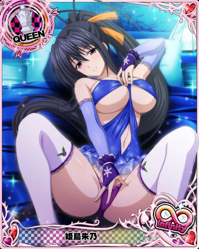 Akeno Himejima - Full Body