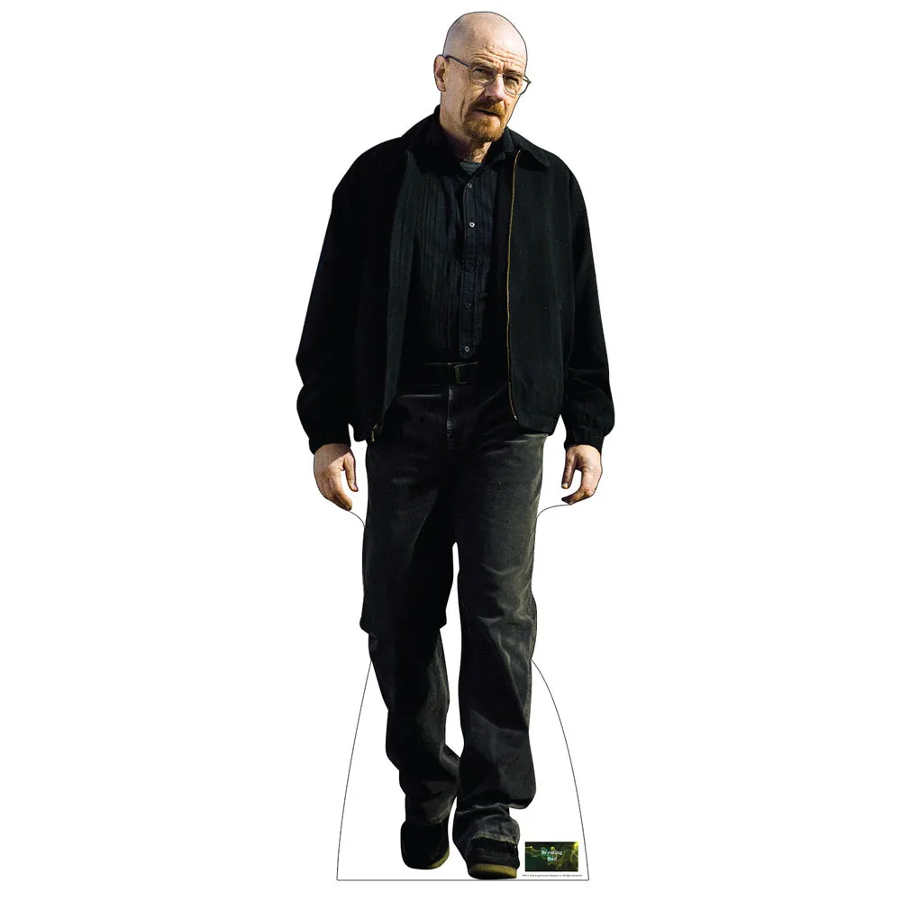 Walter White - Full Body