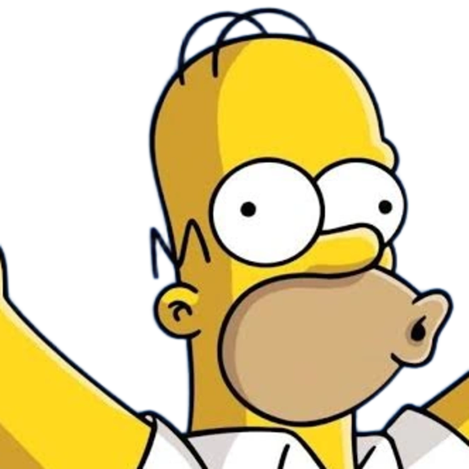 Homer Simpson - Expression 3